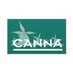 Canna